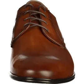 LLOYD Osmond braun 40