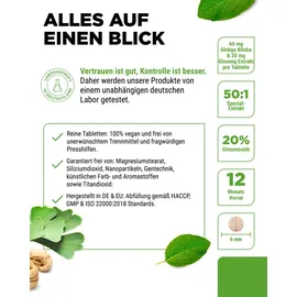 Vit4ever Ginkgo + Ginseng Tabletten 365 St.