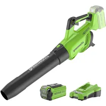 Greenworks Akku-Laubbläser inkl. 1 x 2,0 Ah
