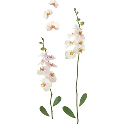 Dekosticker Orchidee in Weiß
