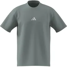 adidas Essentials Small Logo Single Jersey T-Shirt wonder sage/white XXL