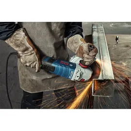 Bosch GWS 30-230 PB Professional 06018G1100