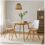 HTI-Living Esszimmerstuhl 2er Set Design-Stühle mit Sitzpolster (Set, 2 St), Esszimmerstuhl Kunststoffschale Samtbezug Holzfüße weiß