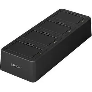 Epson Ot-Ch80Ii 401 multiple