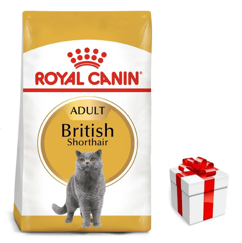 ROYAL CANIN British Shorthair 10kg + Überraschung für die Katze (Mit Rabatt-Code ROYAL-5 erhalten Sie 5% Rabatt!)