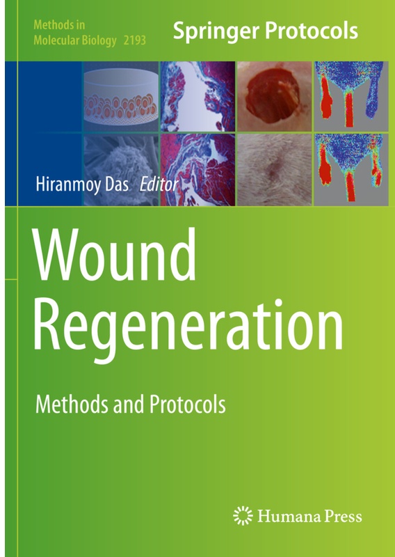 Wound Regeneration, Kartoniert (TB)