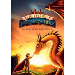 Der Drache mit den silbernen Hörnern - Die geheime Drachenschule (Bd. 2)