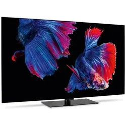 Medion 65' (1651cm) Oled Android TV – Energieeffizienzklasse F