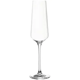LEONARDO Puccini, Weingläser, Transparent