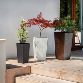 Kadax Tuluza 30 x 35 x 40 cm Creme