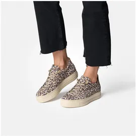 Paul Green Sneaker Damen Beige 40