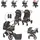 Lorelli Kinderwagen 2 in 1 Viola