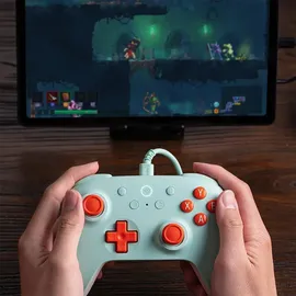 8bitdo Ultimate 2C Controller Mint/Orange für PC