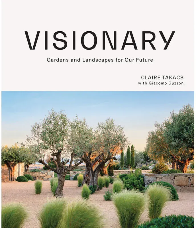 Visionary - Claire Takacs, Gebunden