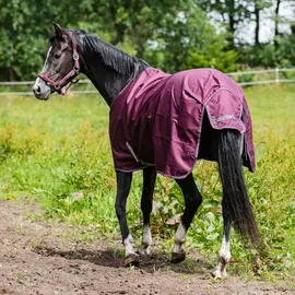 Horse Guard Landon Turnout Pferdedecke 0 g 125 cm Pflaume