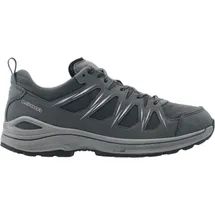 Lowa Innox EVO II GTX grau/grau 42,5
