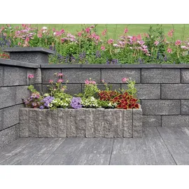 Diephaus Mauer Canta Quarzit Normalstein 50 x 25 x 20 cm