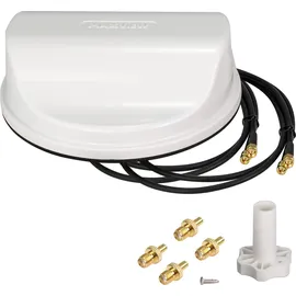 Maxview 2X2 MIMO WiFi Antenne Weiss