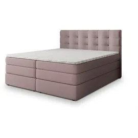 masseno AREZI 160 x 200 cm H2 Rosa