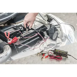 Dunlop Batterieladegerät für Auto und Mottorad 6V und 12V Trainer