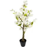 I.GE.A. Kunstpflanze Kirschbaum mit weißen Blüten im Topf, ca. H78 cm