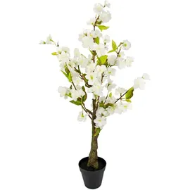 I.GE.A. Kunstpflanze Kirschbaum mit weißen Blüten im Topf, ca. H78 cm
