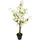 I.GE.A. Kunstpflanze Kirschbaum mit weißen Blüten im Topf, ca. H78 cm