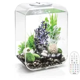 biOrb LIFE 15 MCR transparent