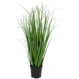 tinkaro Künstliche Zimmerpflanze Künstliches Poa Gras 30 x 30 x 68 cm Grün, tinkaro, Höhe 68 cm grün|schwarz