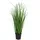 tinkaro Künstliche Zimmerpflanze Künstliches Poa Gras 30 x 30 x 68 cm Grün, tinkaro, Höhe 68 cm grün|schwarz
