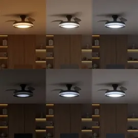 Philips Bliss Deckenventilator mit Beleuchtung 106 cm Schwarz
