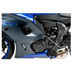 Puig Motorgehäuse Schutz