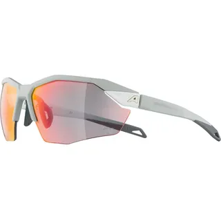 Alpina Twist Six S HR QV grau - one size