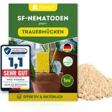 Futeco® – SF-Nematoden (1 Mio.) gegen Trauermücken – für 10 Pflanzen / 1m2 Fläche – zum einfachen gießen