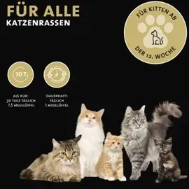 Peticare Diät Schlank Vital Pulver für Katzen 100 g