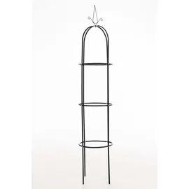 CLP Rosensäule Romantika V2 38 x 190 cm Schwarz