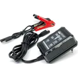 BAAS BA150 BA150 Automatikladegerät 6 V, 12 V