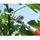 Stocker Adjustable Telescopic 180-300 cm - Orange - One Size