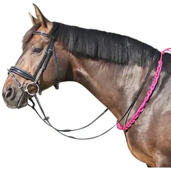 EQuest Beginner Balance Zügel, pink - 120 cm - hilft dem Pferd, das Gleichgewicht zu verbessern