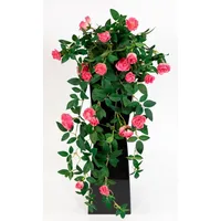 Seidenblumen Roß Rosenranke 62cm rosa-pink ZF Kunstpflanzen Kunstblumen künstliche Pflanzen Rosenhänger Rosen