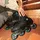 K2 Inline Skates 41.5