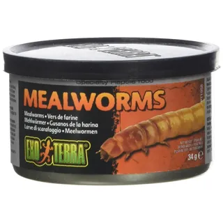 Exo Terra gekochte Mehlwürmer aus der Dose, Einzelfuttermittel für Reptilien, 34g
