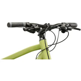 KROSS Evado 2.0 28 Zoll RH 53 cm braun, schwarz