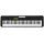 Casio CT-S100C7 schwarz