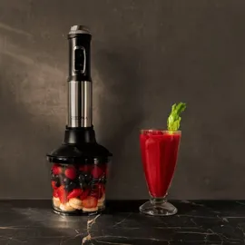 Zeegma 5 in 1 Stabmixer