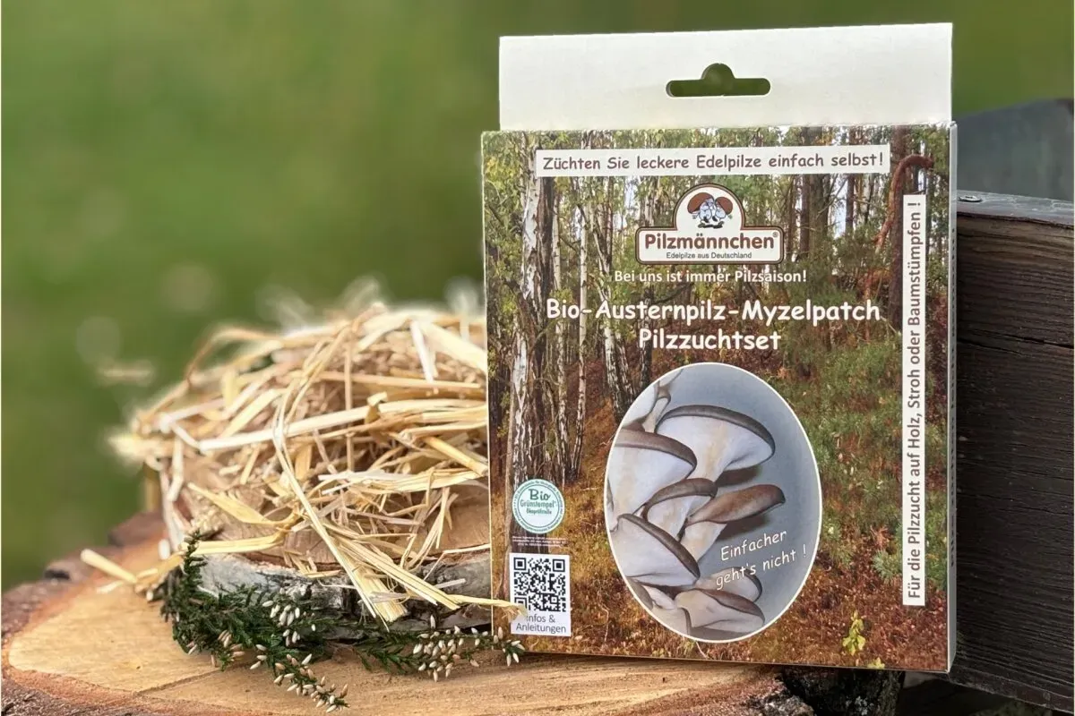 Austernpilz-Myzelpatch Pilzzuchtset BIO