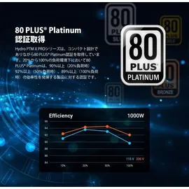 FSP Group FSP Hydro TI PRO 1000 W), PC Netzteil, Schwarz