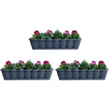 Buri Blumenkasten 80 x 20 x 16,5 cm Anthrazit