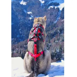 I-DOG Confort Trek Hundegeschirr - Red - 2XS