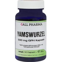 Hecht Pharma Yamswurzel 500 mg GPH Kapseln